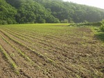 P6260001.jpg